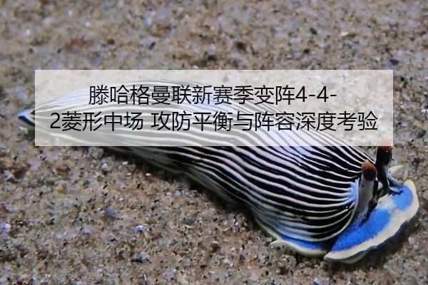 滕哈格曼联新赛季变阵4-4-2菱形中场 攻防平衡与阵容深度考验
