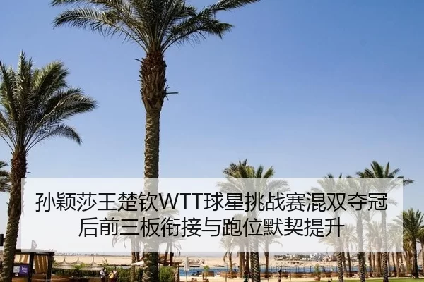 sun-ying-sha-wang-chu-qin-qiu-xing-tiao-zhan-sai-hun-shuang-duo-guan-hou-qian-san-ban-xian-jie-yu-pao-wei-mo-qi-ti-sheng-3-199.jpg